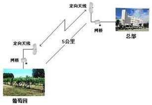 Axelwave为新天葡萄种植园打造高效无线传输系统，开启智慧农业新篇章